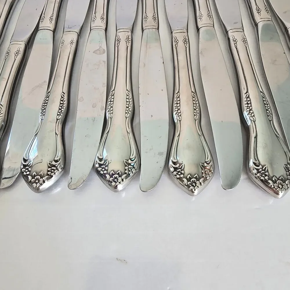 Oneida Mansfield Amadeus Set of 14 Dinner Knives Stainless WM Rogers Deluxe